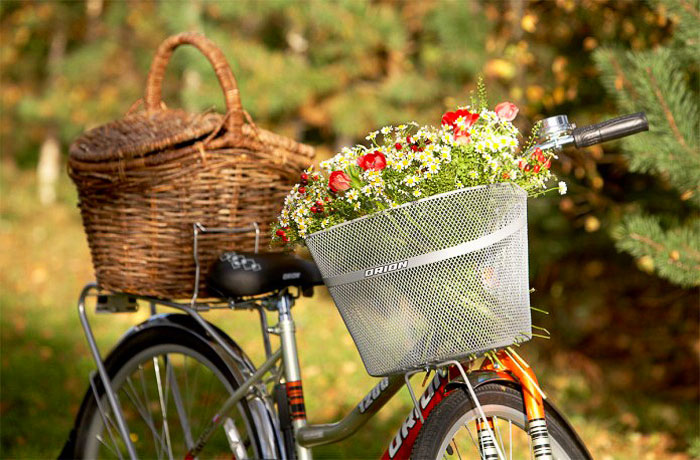 Фермерская корзина для проведения пикника на траве. Московская область