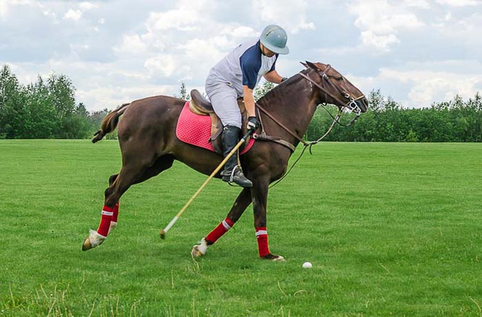 Клубный отель Ферма в Потапово для игроков в конное поло располагает одним из лучших поло-полей в России
