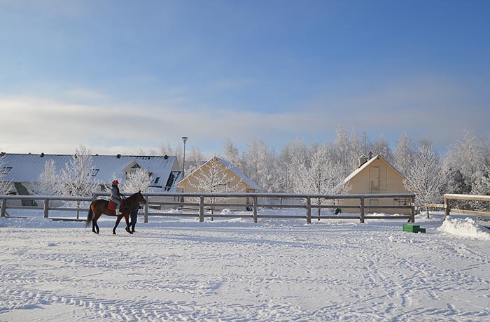 Зимний отдых на Ферме в Подмосковье - уроки верховой езды, конное поло