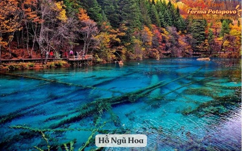Hồ Ngũ Hoa - Cửu trại câu