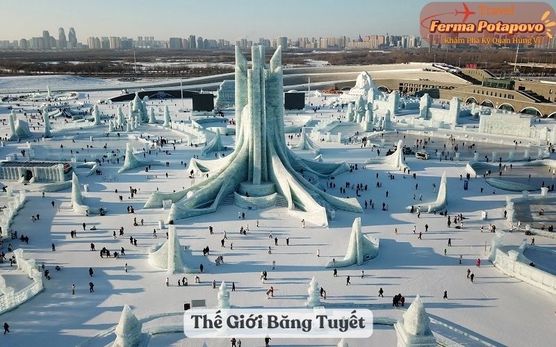 Thế Giới Băng Tuyết