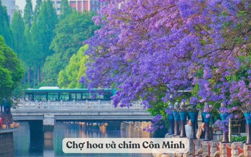 Du lịch Chợ hoa và chim Côn Minh - Hành trình sắc màu và hương thơm độc đáo