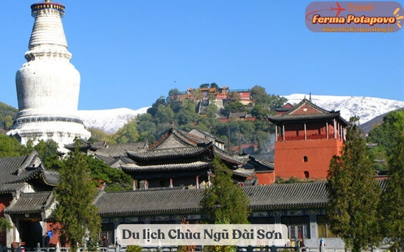 Khám Phá Vẻ Đẹp Huyền Bí của Du lịch Chùa Ngũ Đài Sơn (Wutai Mountain) – Tỉnh Sơn Tây