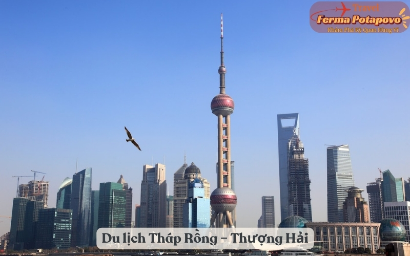 Khám Phá Thiên Đường Kiến Trúc - Du Lịch Tháp Rồng – Thượng Hải