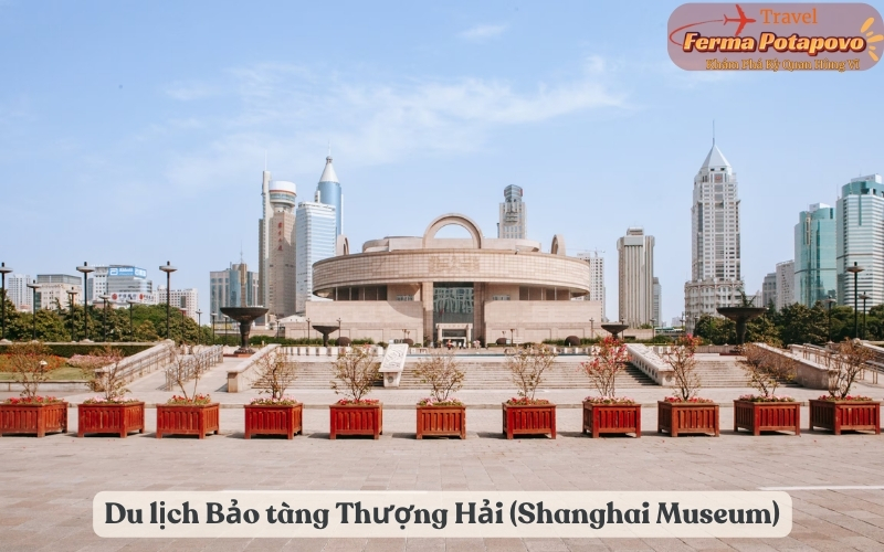 Du lịch Bảo tàng Thượng Hải - Khám Phá Di Sản Văn Hóa Trung Hoa Độc Đáo