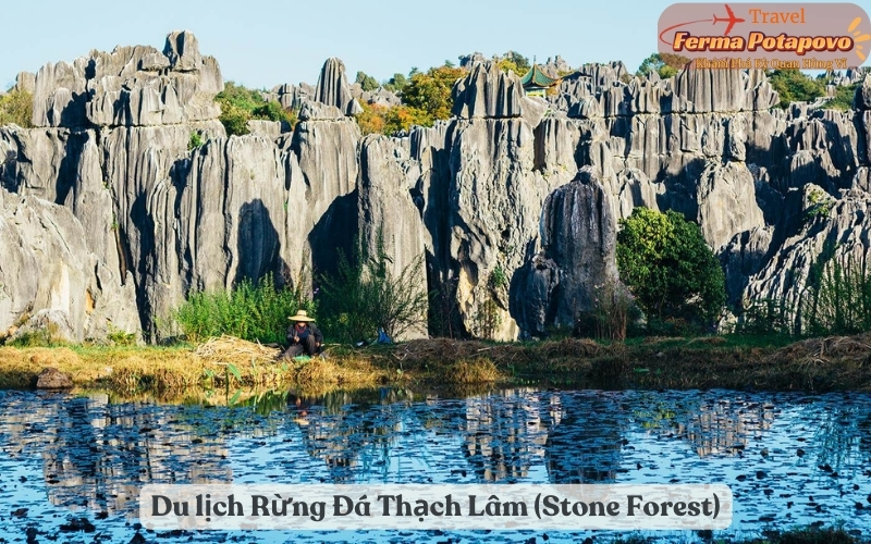 Du-lich-rung-da-thach-lam-stone-forest