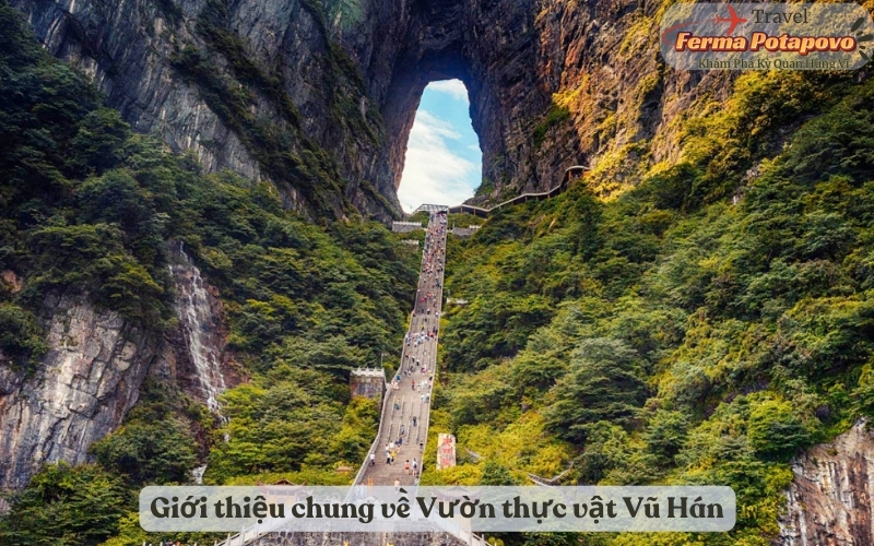 Giới thiệu chung về Vườn thực vật Vũ Hán