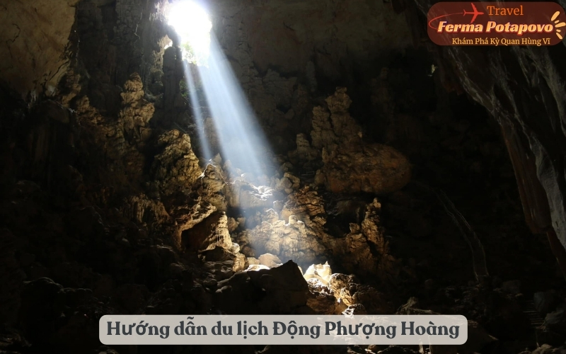 Hướng dẫn du lịch Động Phượng Hoàng: Kinh nghiệm và lời khuyên hữu ích
