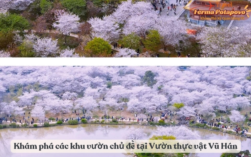 Khám phá các khu vườn chủ đề tại Vườn thực vật Vũ Hán
