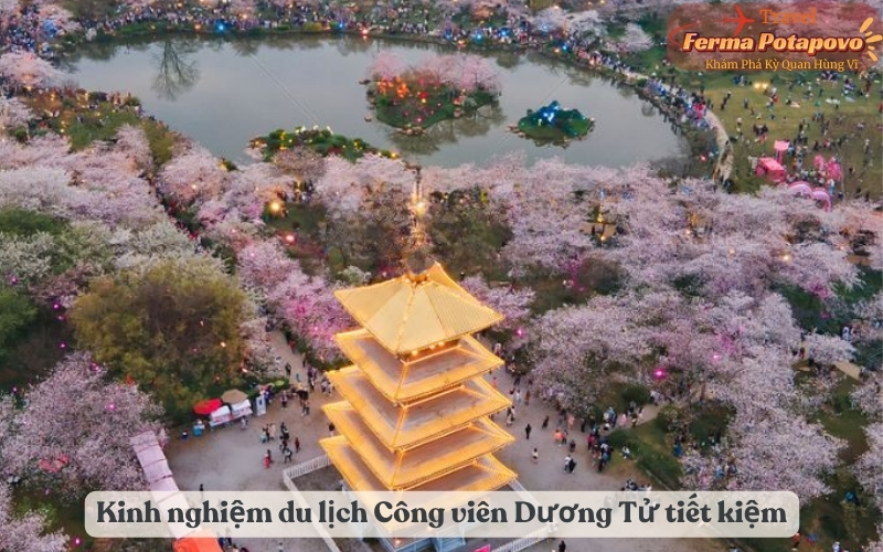 Kinh nghiệm du lịch Công viên Dương Tử tiết kiệm chi phí