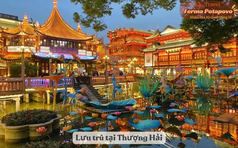 Lưu trú tại Thượng Hải: Từ khách sạn sang trọng đến nhà nghỉ bình dân