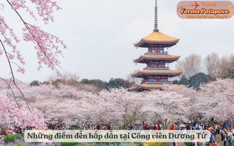 Những điểm đến hấp dẫn không thể bỏ qua tại Công viên Dương Tử