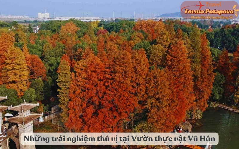 Những trải nghiệm thú vị và hoạt động giải trí tại Vườn thực vật Vũ Hán