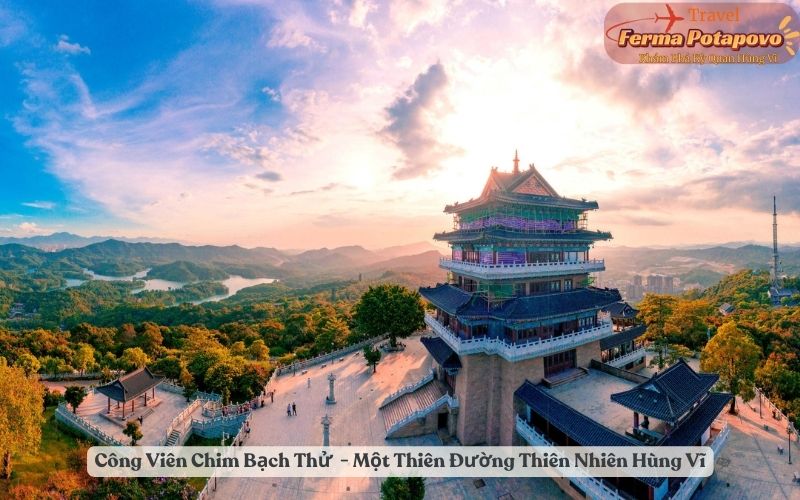 Công Viên Chim Bạch Thử (Baiyun Mountain) - Một Thiên Đường Thiên Nhiên Hùng Vĩ