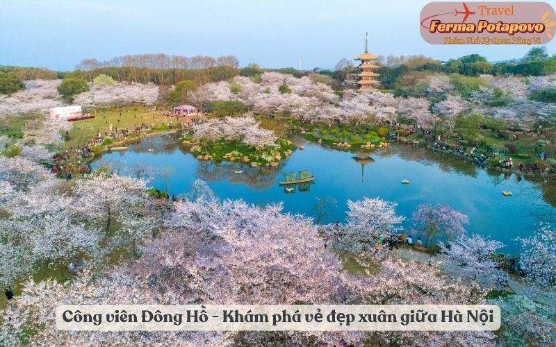 Công viên Đông Hồ - Khám phá vẻ đẹp xuân giữa Vũ Hán