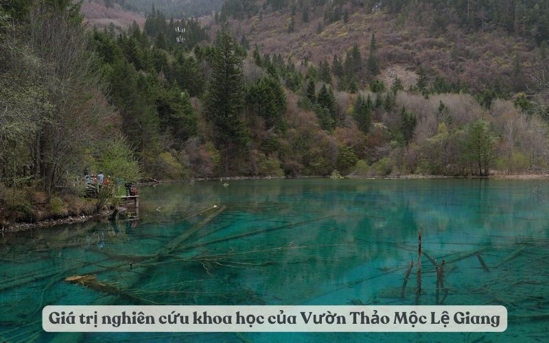 Hệ sinh thái đa dạng tại Hồ Đồng Tiền