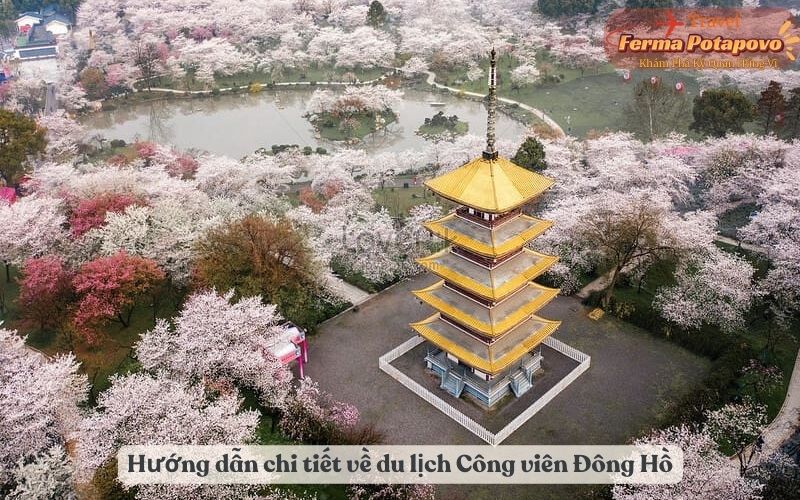 Hướng dẫn chi tiết về du lịch Công viên Đông Hồ