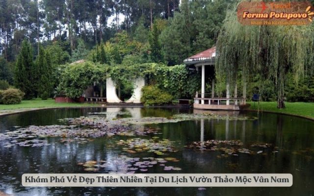 Khám Phá Vẻ Đẹp Thiên Nhiên Tại Du Lịch Vườn Thảo Mộc Vân Nam