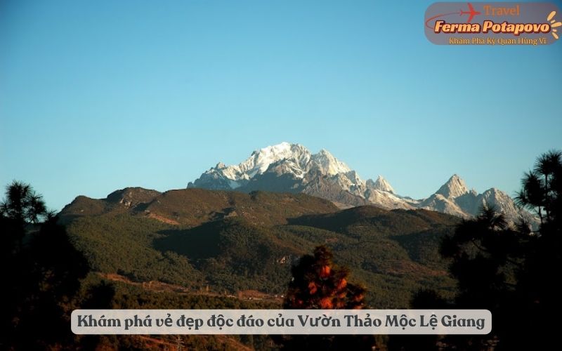 Khám phá vẻ đẹp độc đáo của Vườn Thảo Mộc Lệ Giang