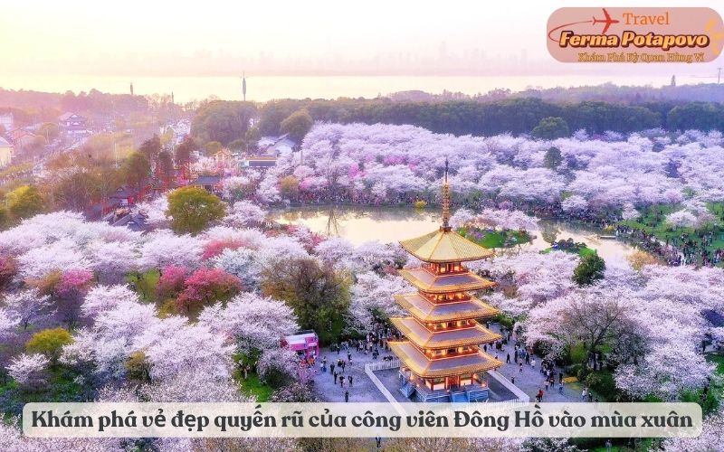 Khám phá vẻ đẹp quyến rũ của công viên Đông Hồ vào mùa xuân