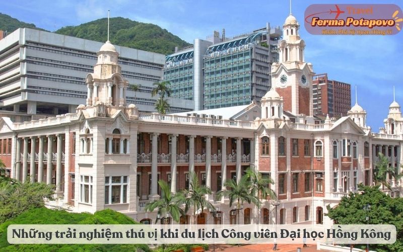 Những trải nghiệm thú vị khi du lịch Công viên Đại học Hồng Kông