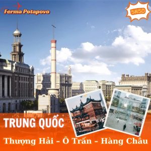 Thượng Hải – Ô Trấn – Vô Tích – Hàng Châu – Disneyland 5N5Đ