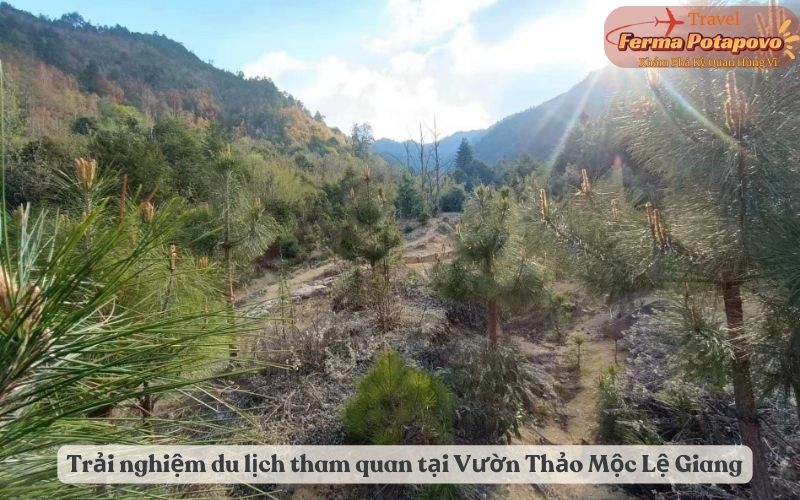 Trải nghiệm du lịch và hoạt động tham quan tại Vườn Thảo Mộc Lệ Giang